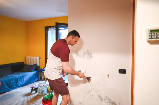 Best Health and Safety Mold Remediation in , TN